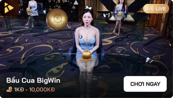 image live casino 3